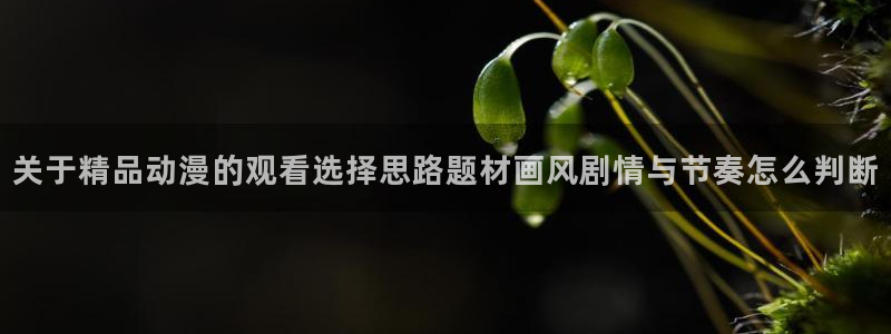 喵趣漫画官网：关于精品动漫的观看选择思路题材画风剧情与节奏怎么判断配图