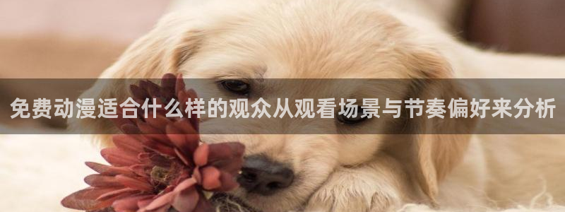 喵趣漫画连载大全:免费动漫适合什么样的观众从观看场景与节奏偏好来分析配图