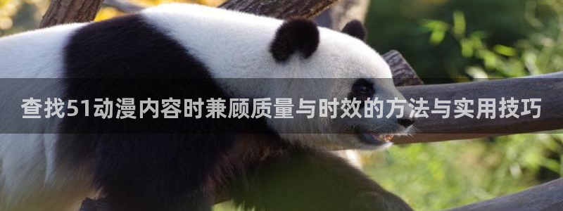 喵趣漫画大全免费:查找51动漫内容时兼顾质量与时效的方法与实用技巧配图